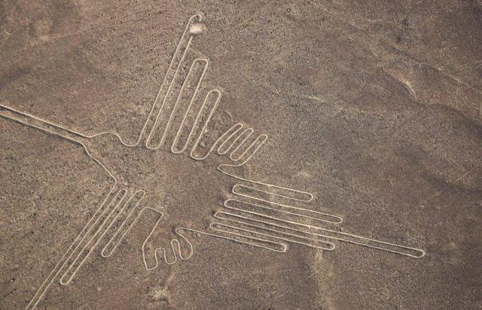 Le nuove Linee di Nazca