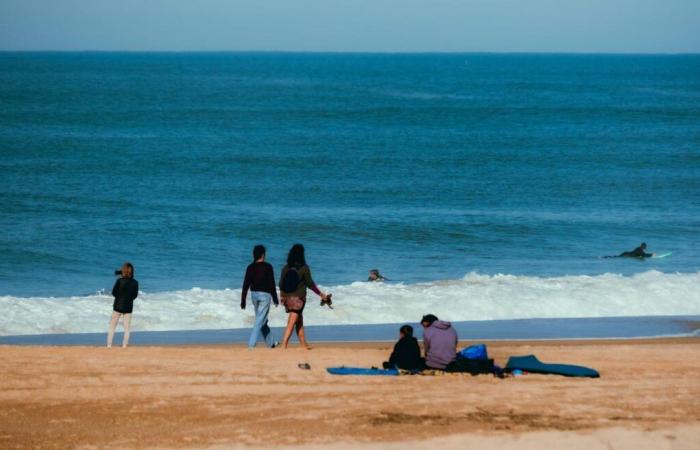 presenze turistiche in calo dell’1,3% durante le festività di Ognissanti