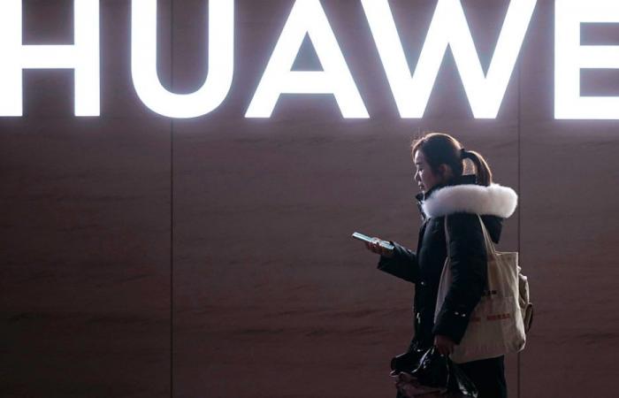 Huawei lancia un telefono dotato di un sistema operativo interno