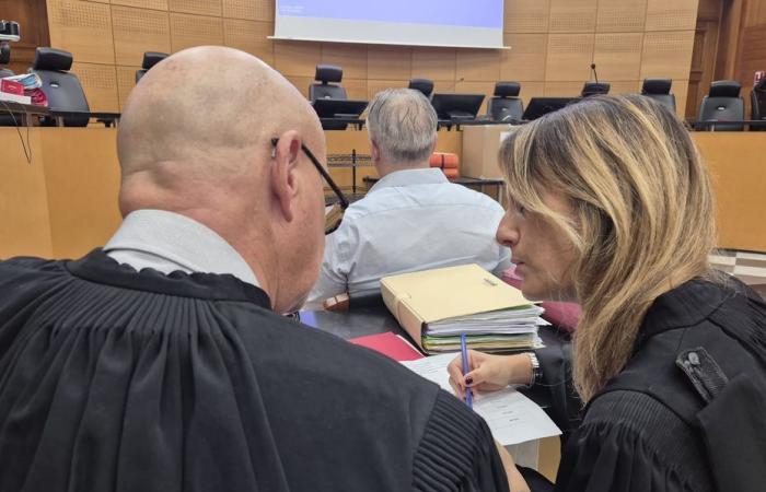 Al processo contro Marcel Vadella per l'omicidio e tentato omicidio dei fratelli Fadil, in questione l'obiettività delle indagini e la premeditazione