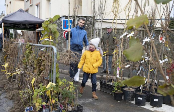 Nonostante la neve e la tempesta, questa fiera dell'Orne sopravvive: “È stato complicato”