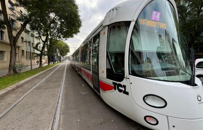 TCL: martedì il traffico tranviario a Lione è ancora interrotto