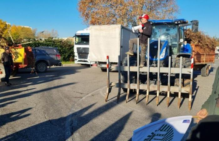 bloccato il portale MSA Alpes Vaucluse