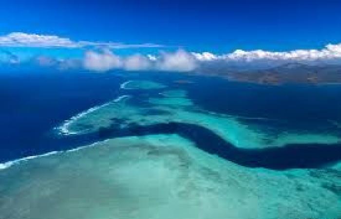 Il patrimonio naturale di Mayotte, leva dell'attività turistica dell'isola