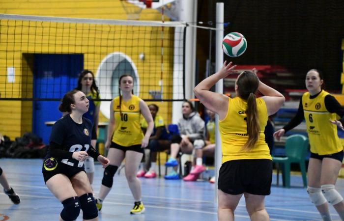 PALLAVOLO: Hanno vinto solo gli uomini di Le Creusot… Le donne hanno perso tutto…