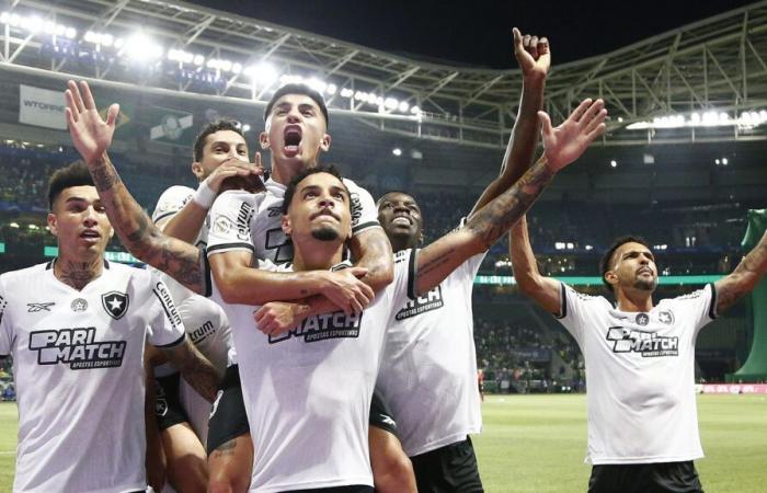 Il Botafogo batte il Palmeiras e riconquista la leadership del Brasileirão in una partita decisiva