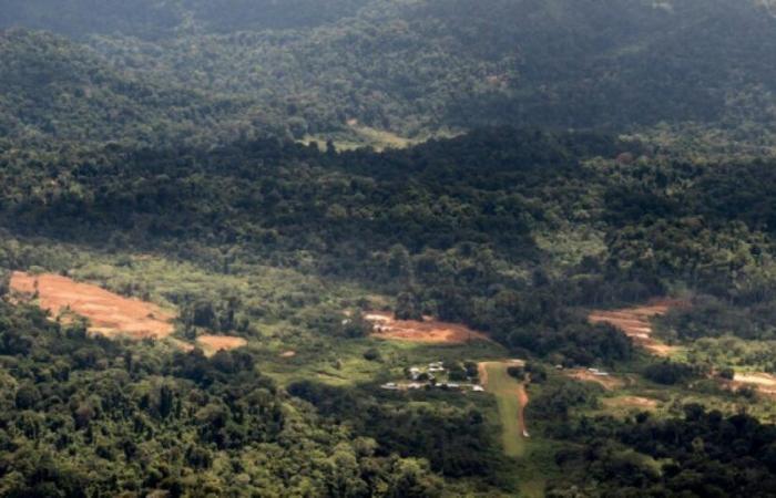 La mancata estensione del progetto “Montagne d’or” in Guyana confermata dalla giustizia amministrativa: Notizie