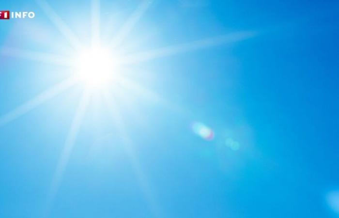 Ritorno del sole e temperature contrastanti: che tempo ci aspetta per la fine dell'autunno?