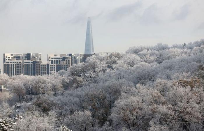 La forte nevicata trasforma la Corea nel paese delle meraviglie invernale – in immagini