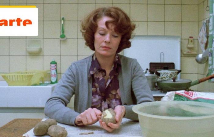 Stasera su Arte: possiamo visitare l'appartamento di Jeanne Dielman a Bruxelles? – Notizie sul cinema