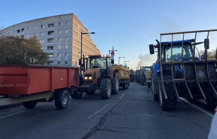 GARD Agricoltura: quattro ragioni per manifestare