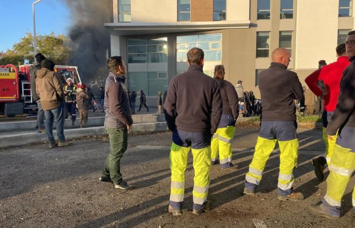 GARD Agricoltura: quattro ragioni per manifestare