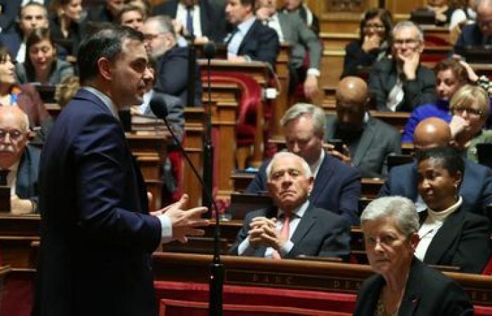 il Senato si oppone all'aumento della tassazione sull'elettricità oltre il livello pre-crisi