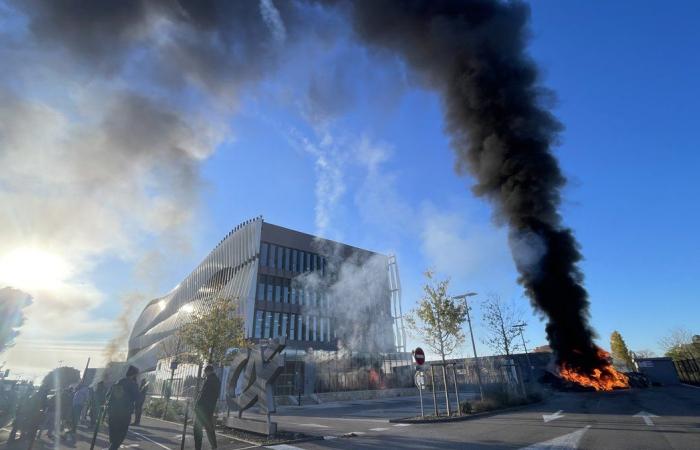 GARD Agricoltura: quattro ragioni per manifestare