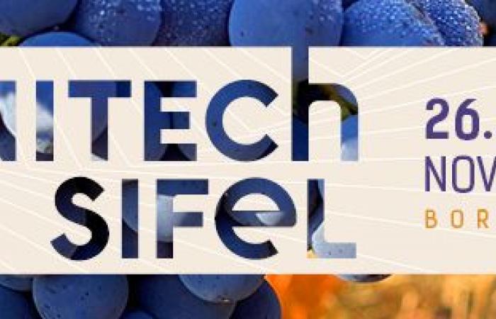 [Vinitech-Sifel] I Trofei d'Oro dell'Innovazione 2024