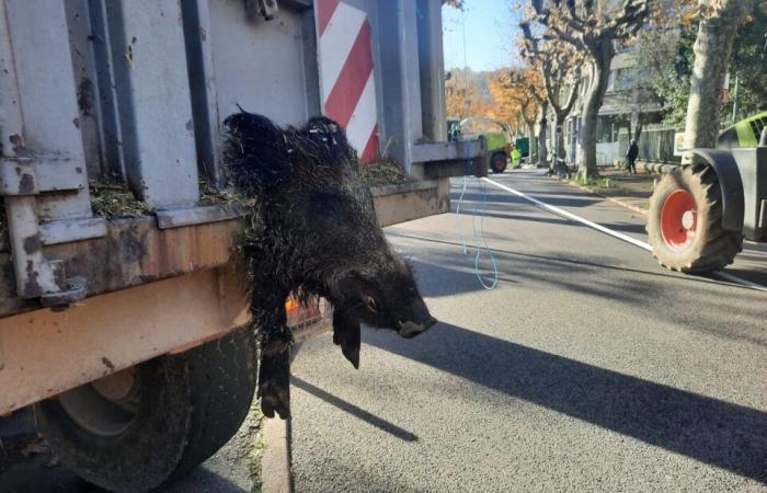 La FDSEA e la JA denunciano a Cahors i vincoli amministrativi che gravano sulla professione