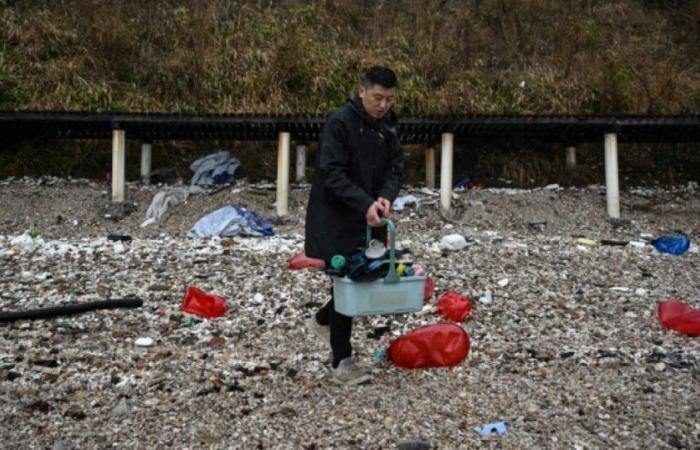 Su un'isola cinese, rifiuti di plastica riciclati in opere d'arte: News