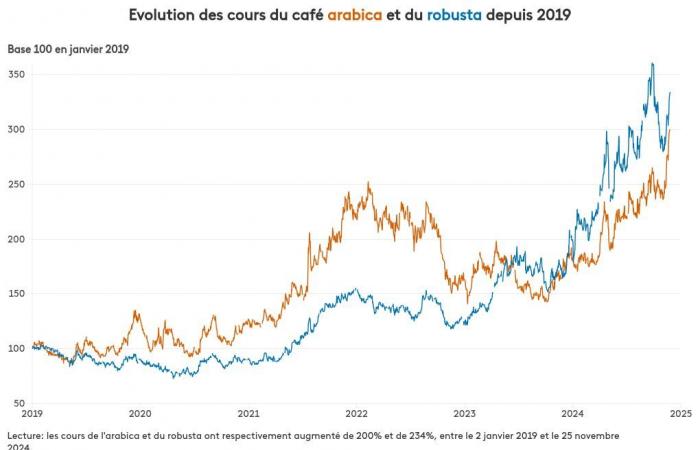 INFOGRAFICA. Come è salito il prezzo del caffè sul mercato delle materie prime