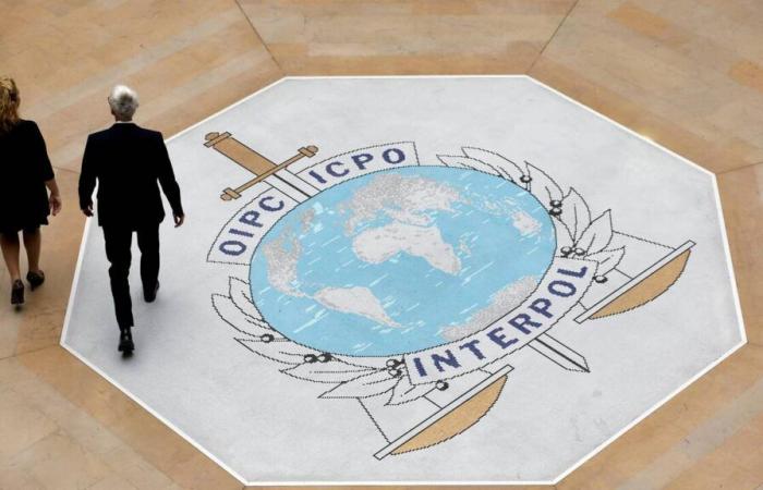 La lotta alle truffe online raggiunge i record all’Interpol