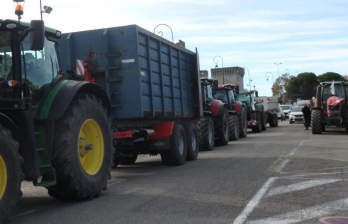 Avignone: i contadini assediano la città amministrativa