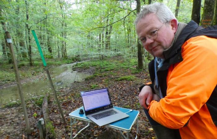 nella foresta di Chaux, il ripristino dei corsi d'acqua sta dando i suoi frutti