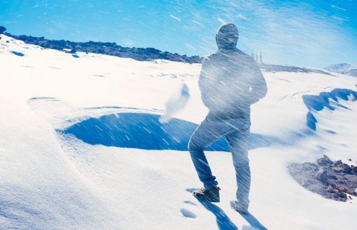 “Sopravviverò, lo sai”: il messaggio straziante inviato da uno YouTuber 22enne alla nonna prima di morire in una tempesta di neve