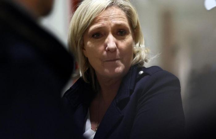 Processo RN: l’avvocato di Marine Le Pen implora un’ultima volta di evitare la “morte politica”