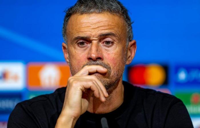 PSG: Riolo si scontra con Luis Enrique con una battuta finale!