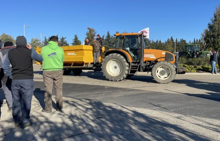 GARD Agricoltura: quattro ragioni per manifestare