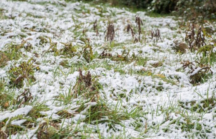 Le temperature dovrebbero scendere fino a -3°C, ma in arrivo un clima più mite e piovoso