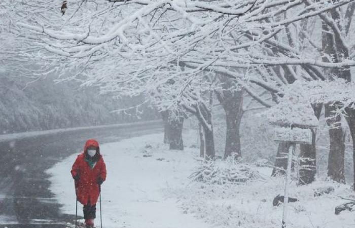 La forte nevicata trasforma la Corea nel paese delle meraviglie invernale – in immagini