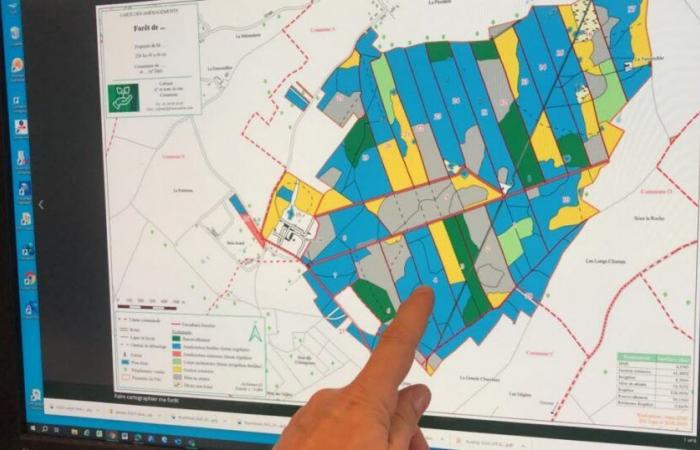 Sylvamap, l'app per mappare il tuo bosco