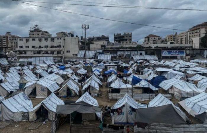 Una catastrofe umanitaria che colpisce tutti gli aspetti della vita – ???? Info Libertaire