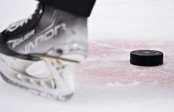 Come guardare le partite della NHL di mercoledì in streaming dal vivo o in TV