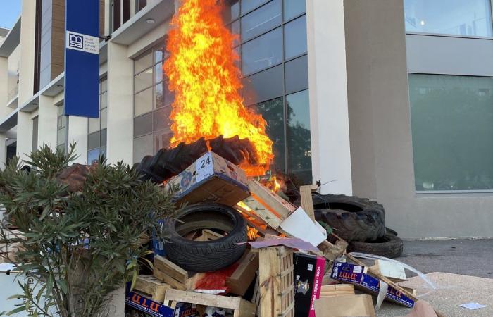 GARD Agricoltura: quattro ragioni per manifestare