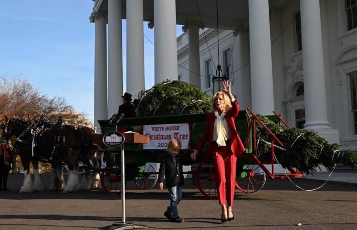 Filmato adorabile: Jill Biden e suo nipote Beau danno il benvenuto all’albero di Natale della Casa Bianca