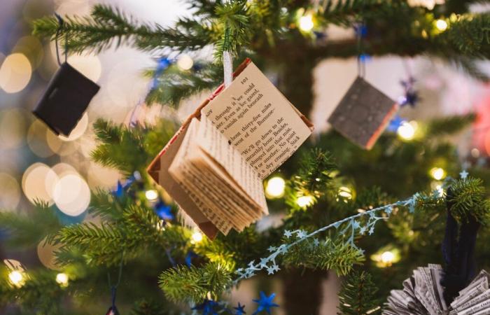 Bibliografia: 15 bellissimi libri da offrire a Natale 2024