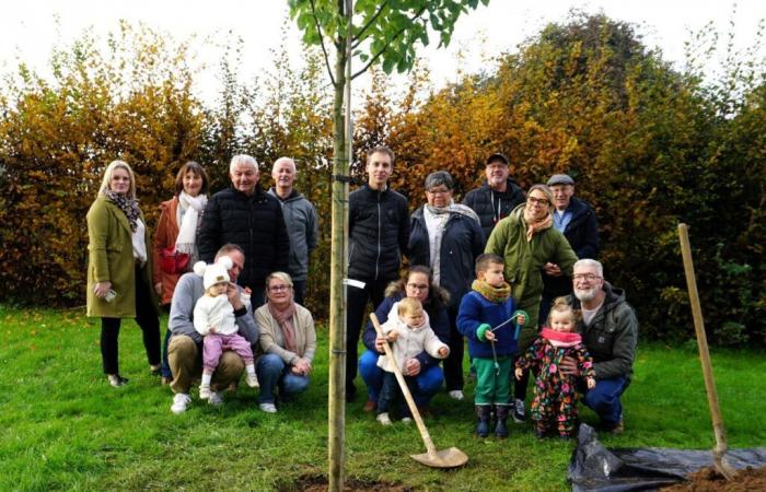 Nel Calvados, un comune festeggia le nascite su un albero!