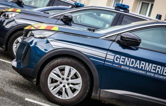 Arresto di polizia di un uomo sospettato di essere coinvolto in due casi irrisolti nell'Isère