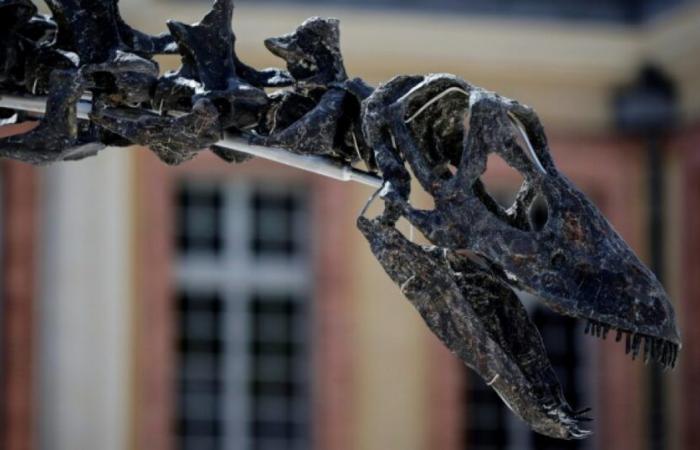 La supremazia dei dinosauri raccontata dal loro stomaco: Novità