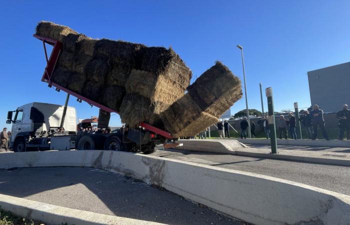 GARD Agricoltura: quattro ragioni per manifestare