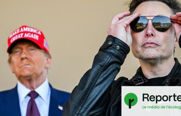 “Trump e Musk ci stanno portando in un mondo gelido, dominato dall’intelligenza artificiale”