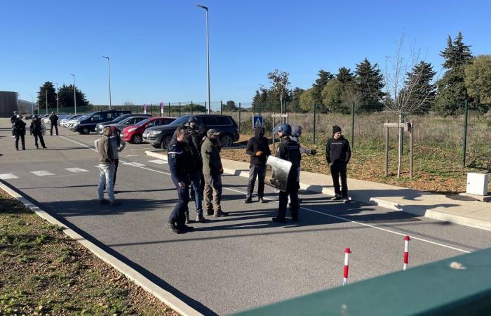 GARD Agricoltura: quattro ragioni per manifestare