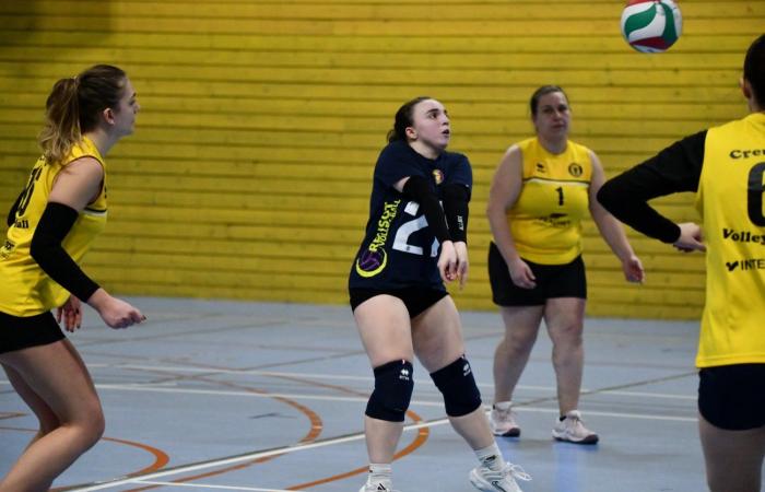 PALLAVOLO: Hanno vinto solo gli uomini di Le Creusot… Le donne hanno perso tutto…