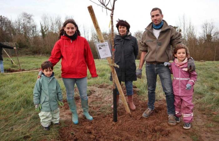 Ogni nascita ha il suo albero in questo villaggio della Val-d'Oise