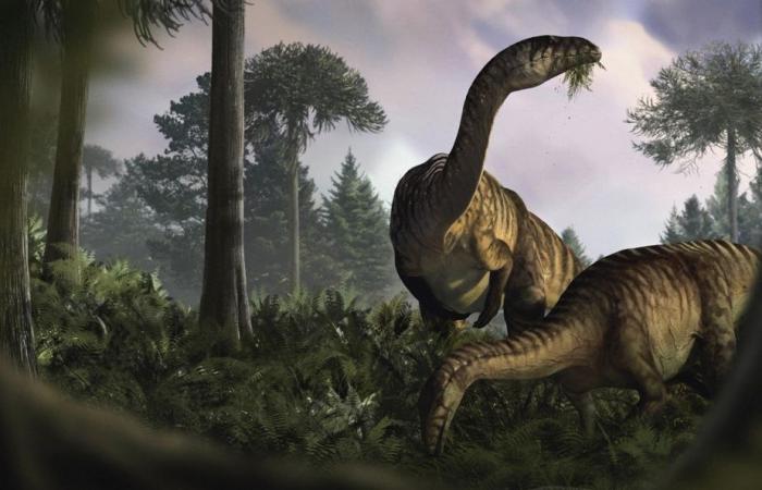 Studio | La supremazia dei dinosauri raccontata attraverso il loro stomaco