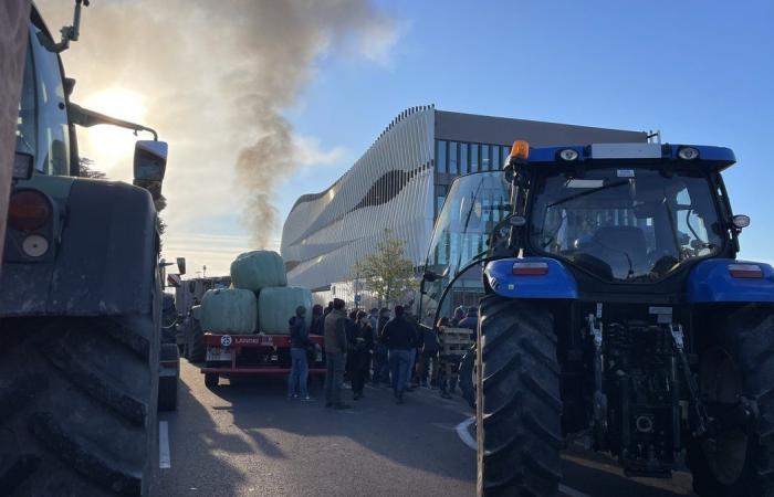 GARD Agricoltura: quattro ragioni per manifestare