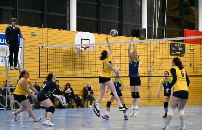 PALLAVOLO: Hanno vinto solo gli uomini di Le Creusot… Le donne hanno perso tutto…