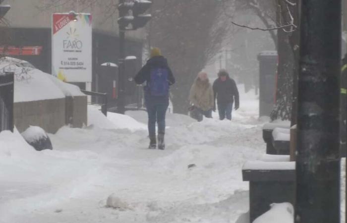 Previsioni per questo inverno: altre tempeste di neve in vista?