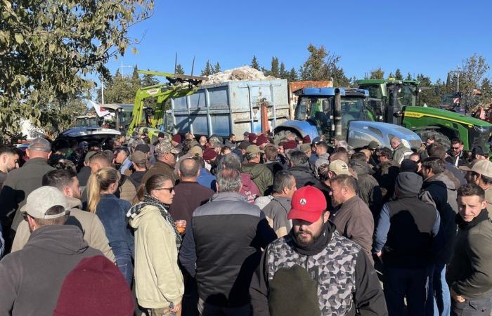 GARD Agricoltura: quattro ragioni per manifestare